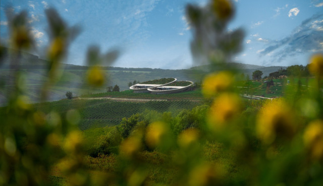 PADI Pezsgőbár és Étterem / PADI Sparkling Wine Bar & Restaurant