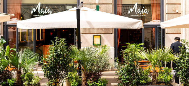 Maia Modern Mexican Fusion