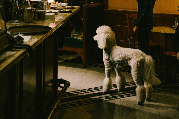 Gerlóczy Cafe & Restaurant